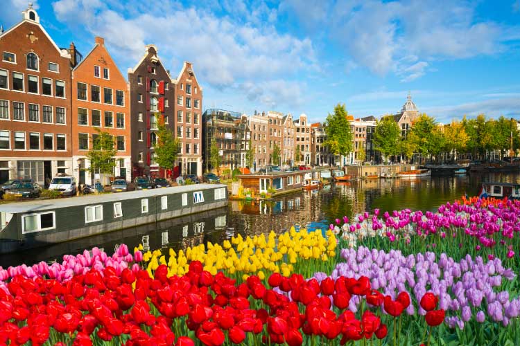 オランダ・チューリップ祭