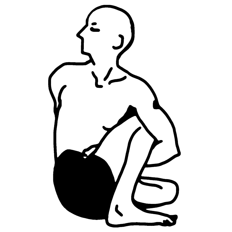 マリーチアーサナD（賢者マリーチのポーズD）