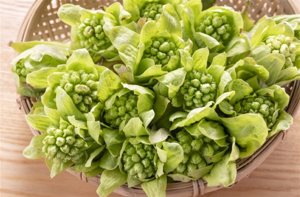 日本一苦い食べ物の例