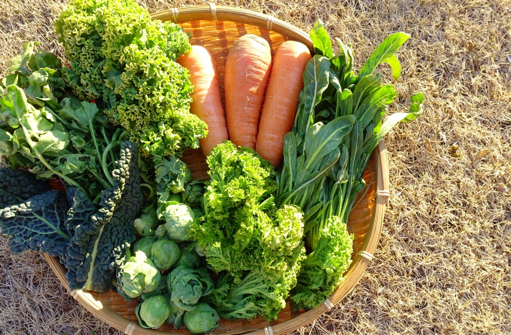 春野菜の苦味をおいしく食べる方法