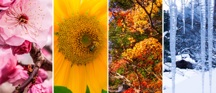 季語とはどんなもの？