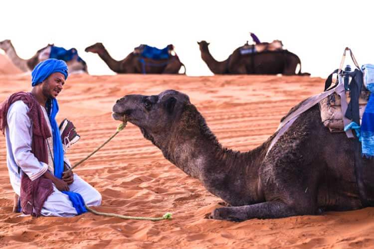 ベルベル人｜サハラに生きる「青の民」として知られる先住民族