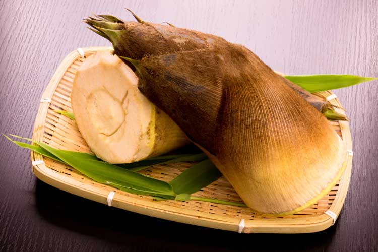 旬の山菜：たけのこ・タラの芽・ふきのとう