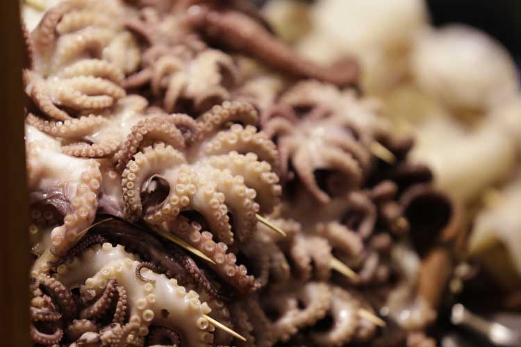 旬の魚介：桜えび・鰆・ホタルイカ