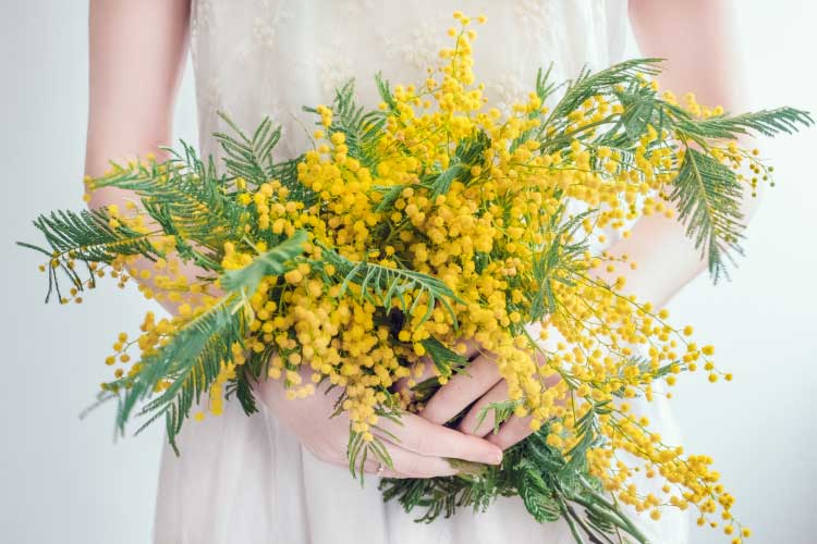 国際女性デー（3月8日）