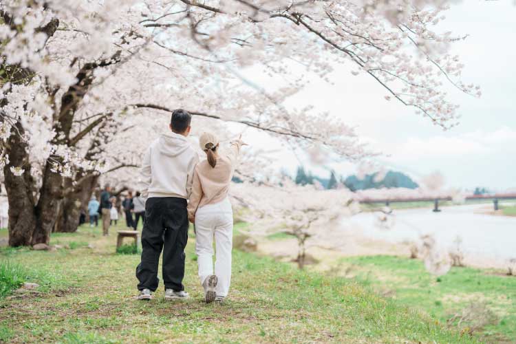 お花見（3月下旬〜4月上旬）
