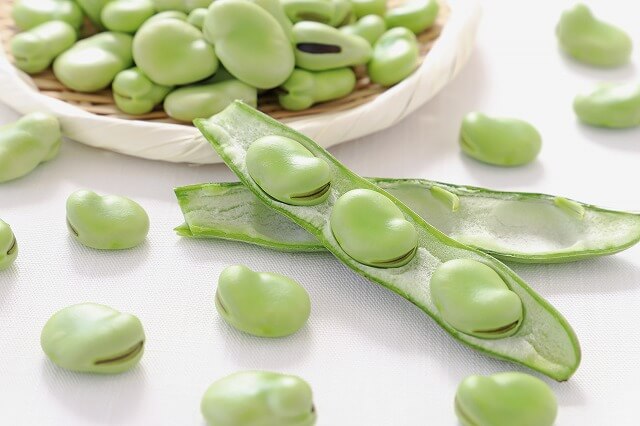 そら豆｜初夏の気配を運ぶ、濃厚な旬の風味