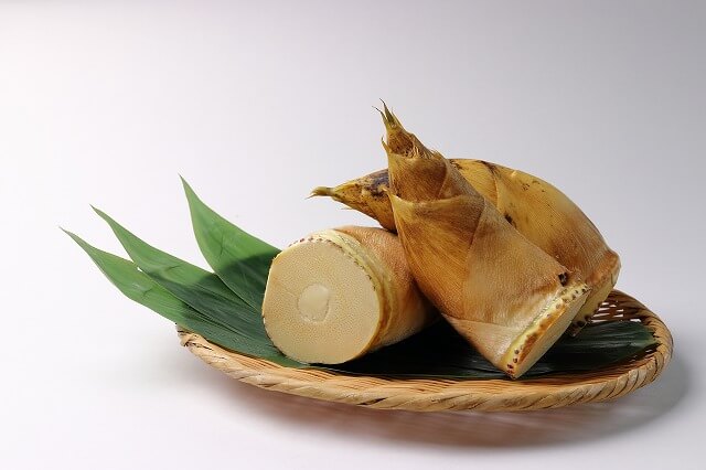 たけのこ｜一旬で過ぎゆく、気高い春の味覚