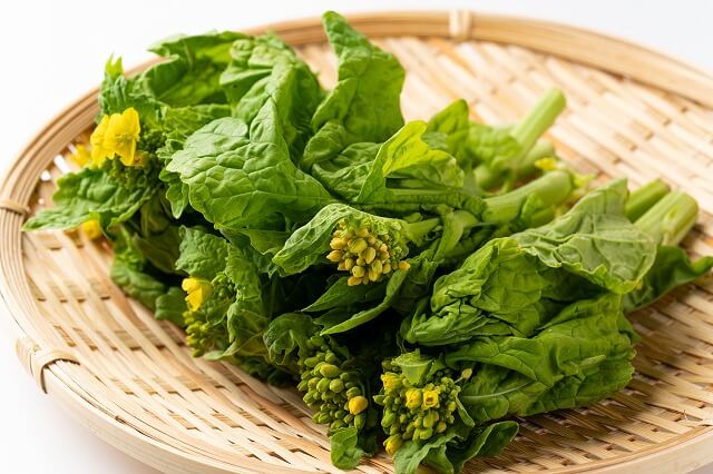 菜の花｜ほろ苦い旬が告げる、鮮やかな春の訪れ