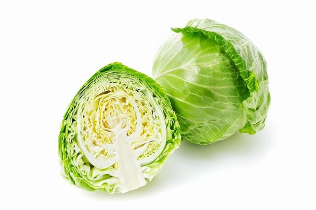 春キャベツ｜旬のやわらかさを生食で楽しむ