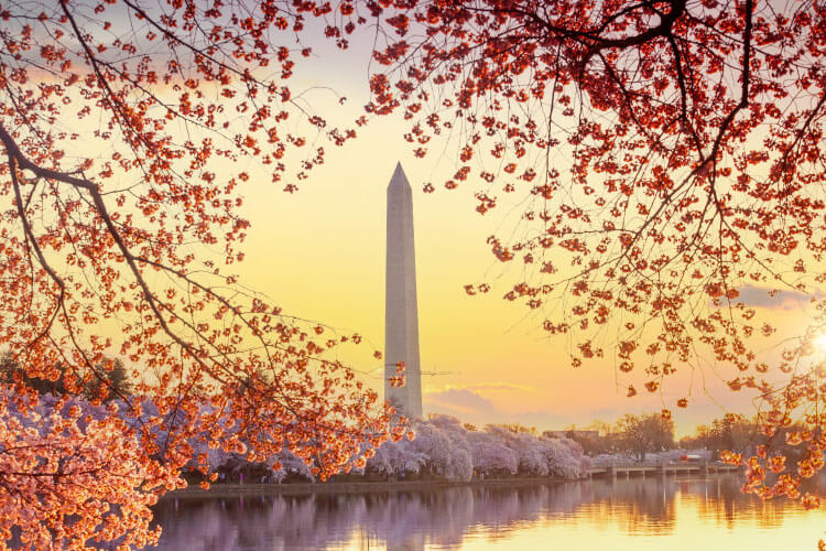 タイダルベイスン（ワシントンD.C.）