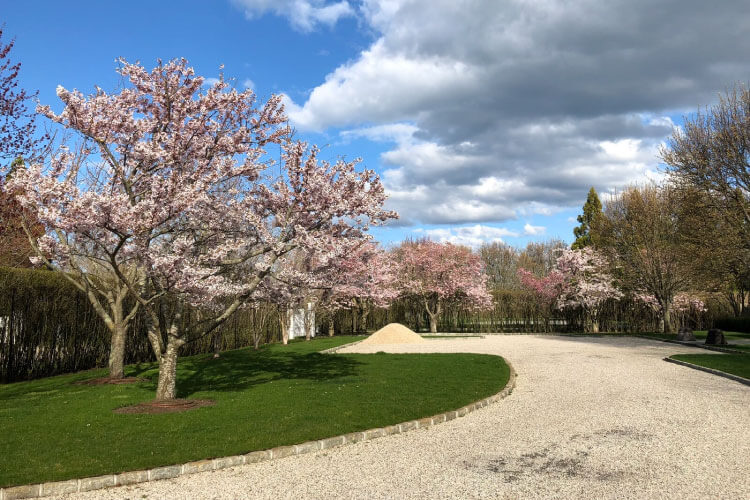 ブルックリン植物園（ニューヨーク）
