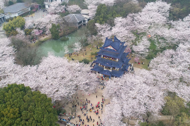 無錫鼋頭渚(むしゃく げんとうしょ)