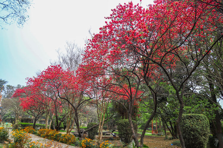 カトマンズ渓谷