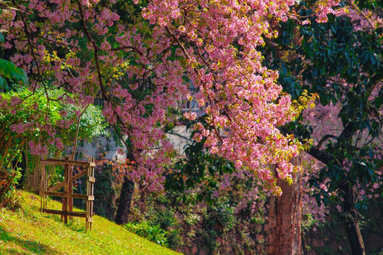 カトマンズ渓谷
