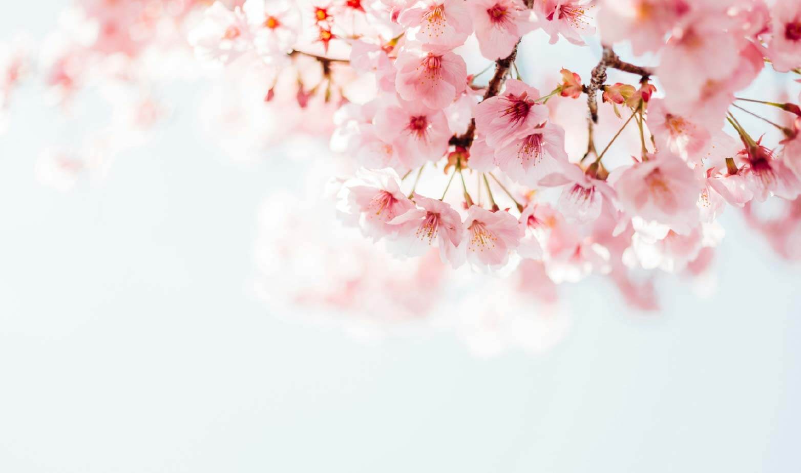 新学期とは？いつから？