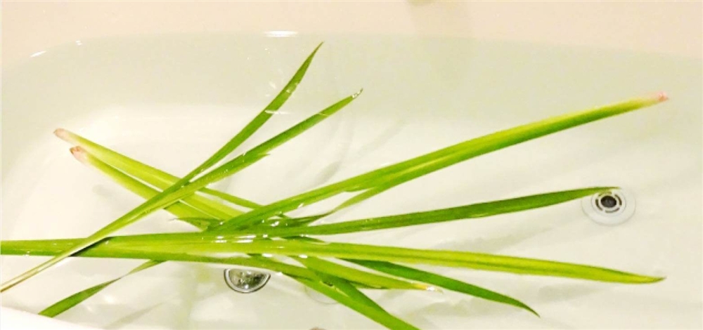 菖蒲湯とは菖蒲を入れたお風呂