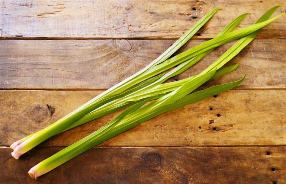 薬草としての菖蒲