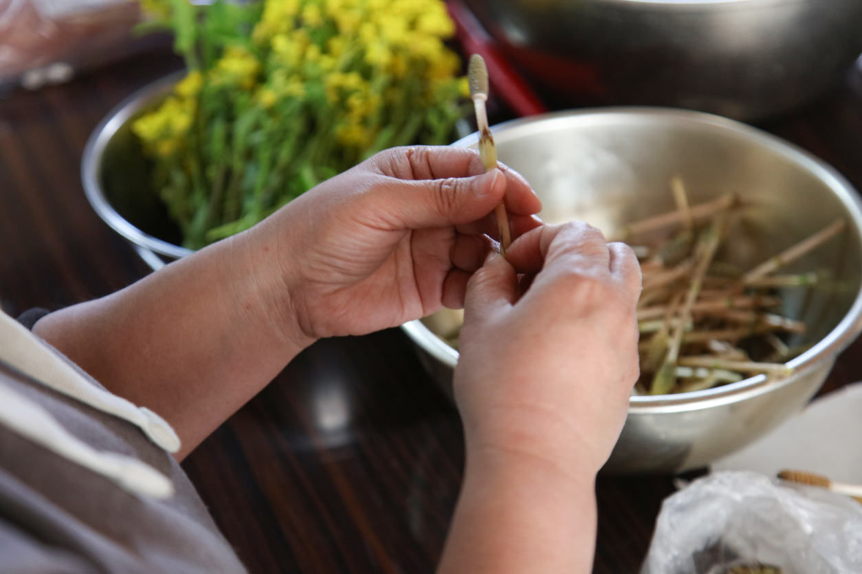 春のつくしの下処理とポイント