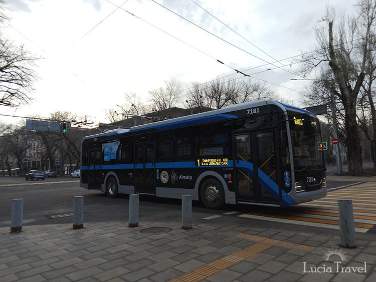 聖人と話す占い師に会いにいく