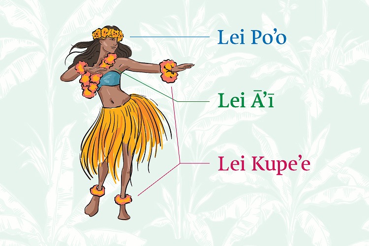 レイの部位別の呼び方