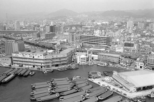 昭和の日ってどんな日？