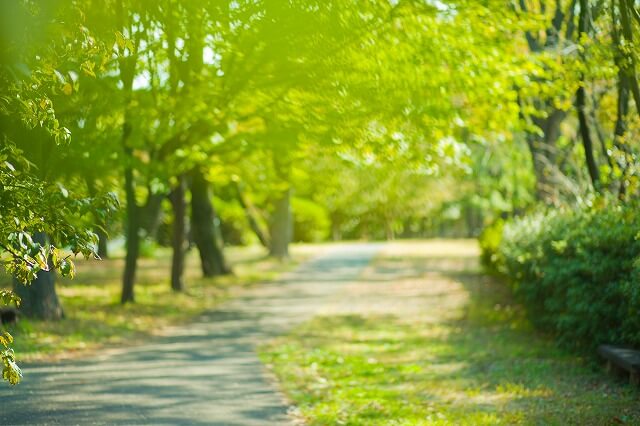 現在のみどりの日とは？