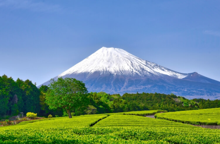 富士山