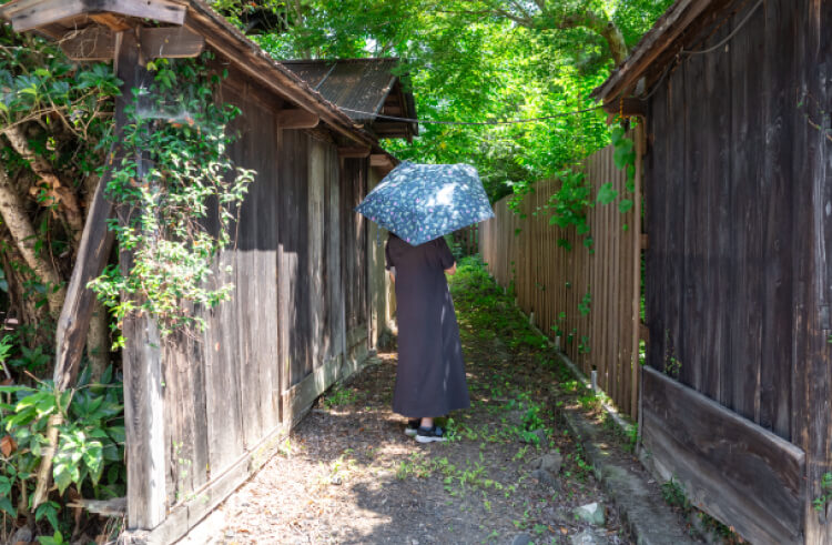 夏至に旬のものを食べて暑い夏を迎える準備をしよう