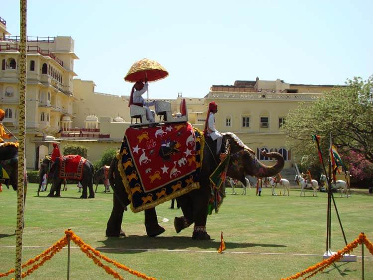 馬以外のポロ――エレファントポロ