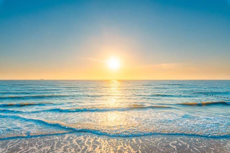夏の朝ヨーガで整う、心と体の4つの効果