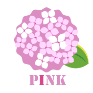 ピンク紫陽花