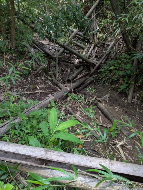 里山再生と「水と風」