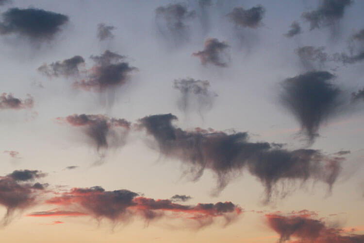 乾燥地域に広がる独特な雲