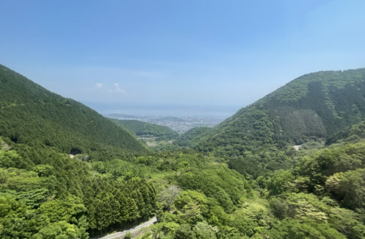 大分県