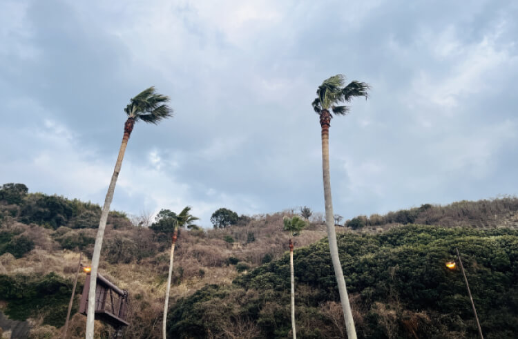 台風シーズンで高波・強風が増える