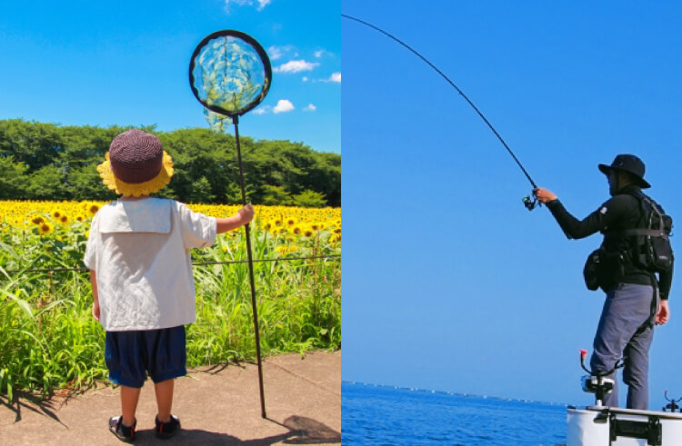 釣り、昆虫採集