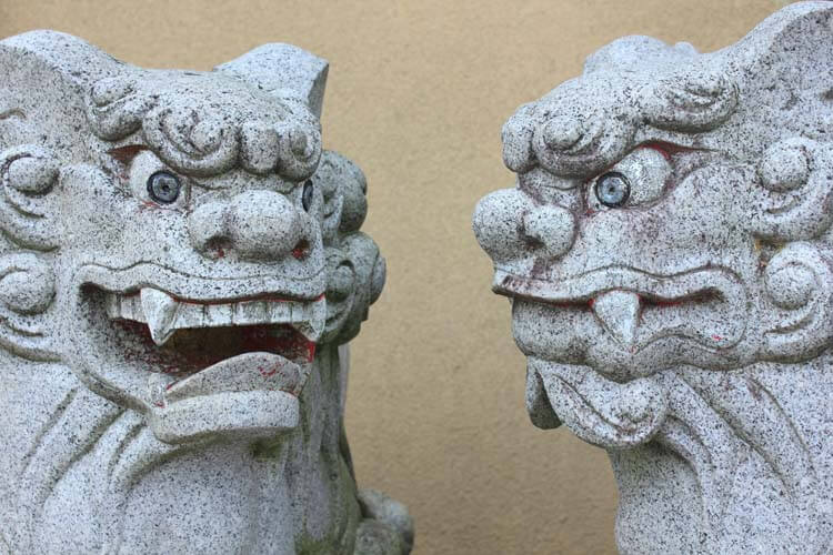 日本文化・伝統との比較