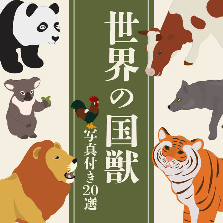 【写真付き】世界20か国の国獣一覧｜国を象徴する動物とは？