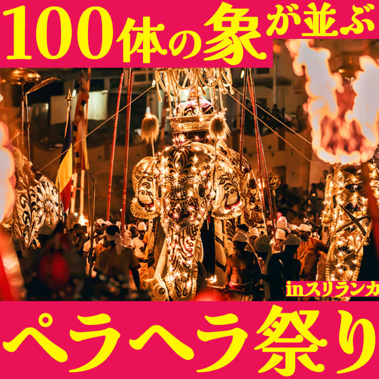 スリランカのエサラ・ペラヘラ祭りとは？100体の象が練り歩く幻想的な祭典