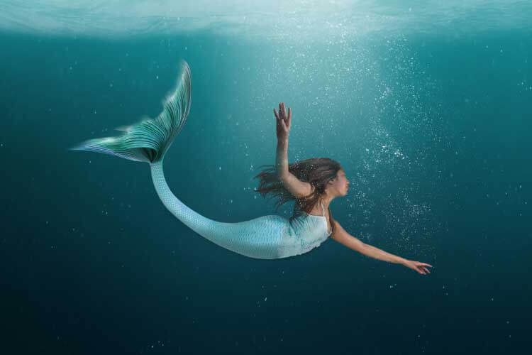 人魚とは？