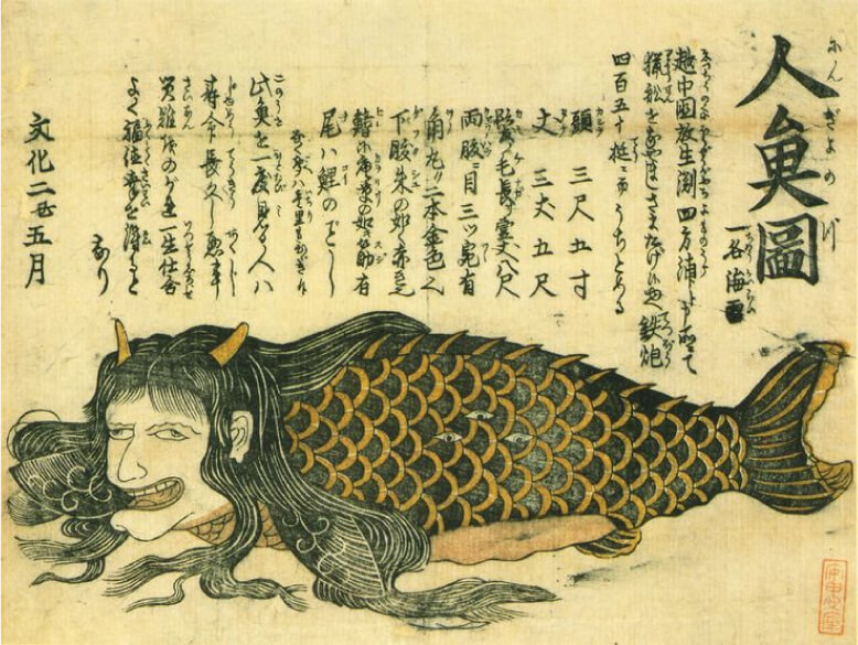 日本の人魚ってどんな存在？