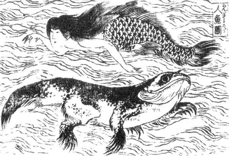 日本で有名な人魚伝説