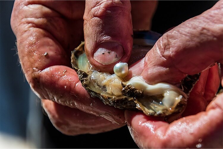 真珠はどうやって作られる