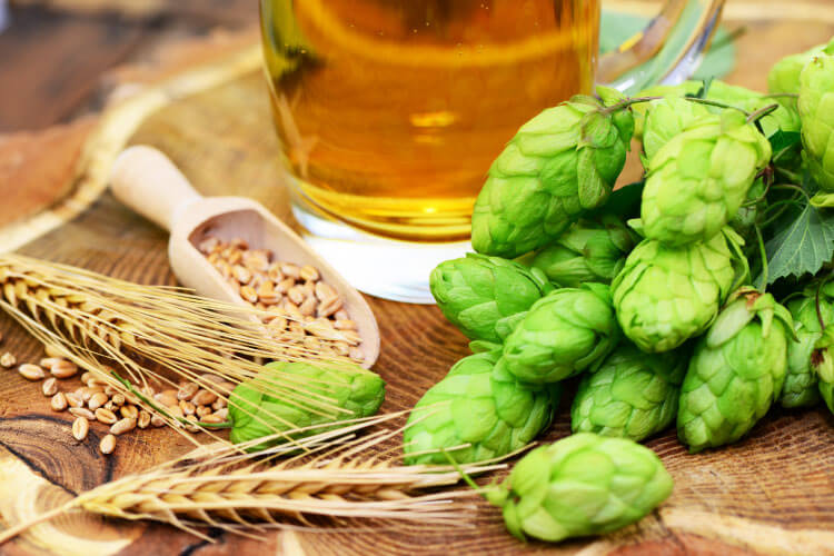 ビール純粋令が現在のビール文化に与えた影響