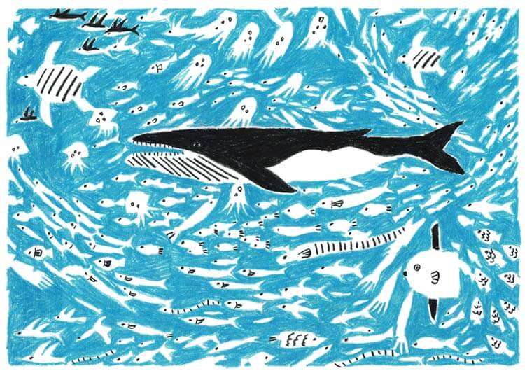 クジラは哺乳類である理由と特徴