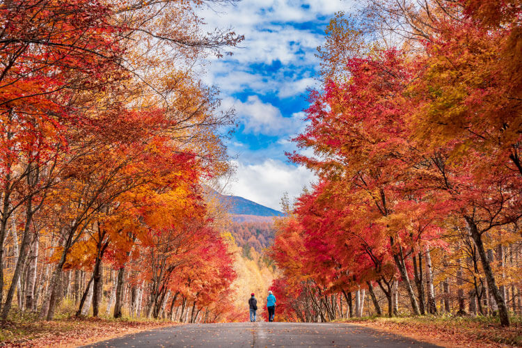 世界各地でしか見られない秋の絶景を楽しもう