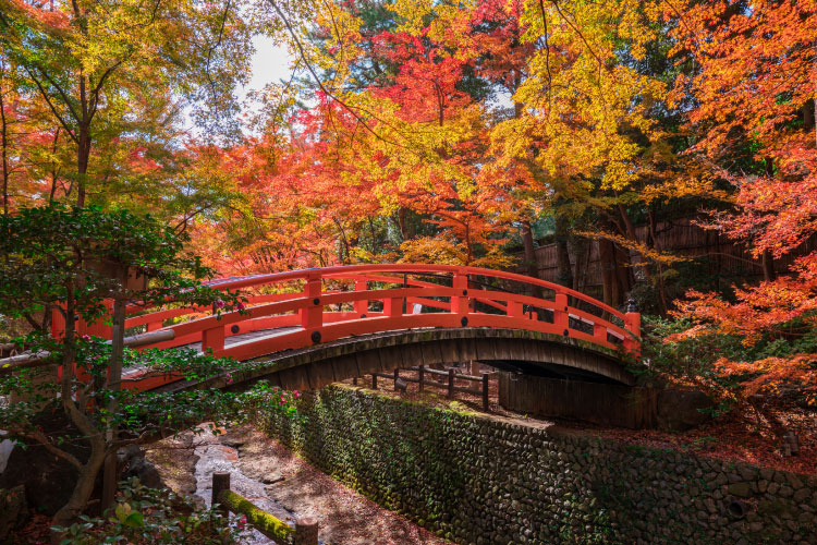 3. 日本｜古都を彩る歴史と紅葉の絶景