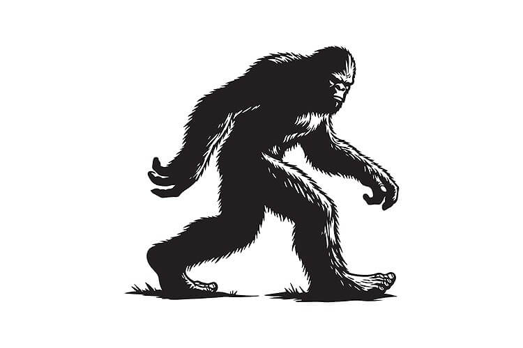 ビッグフットを傷つけるのは禁止（アメリカ）