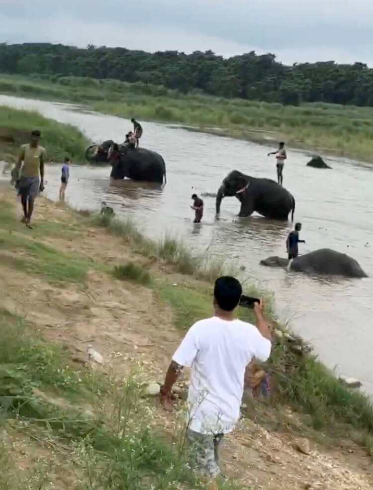 川で偶然象に出会って、背中に乗せてもらった時のハナシ03